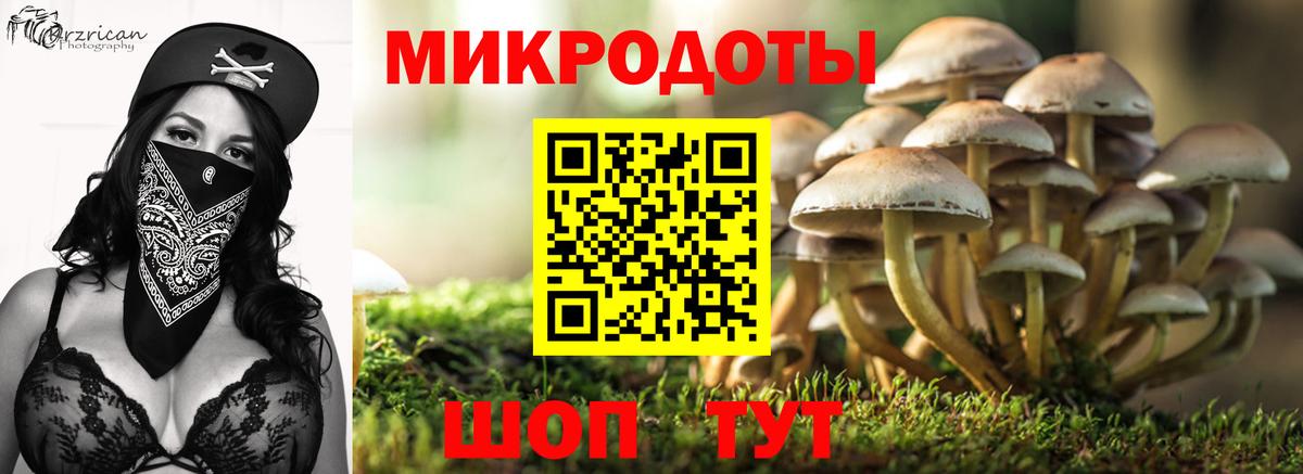 Галлюциногенные грибы MAGIC MUSHROOMS  Вход с VPN  где купить наркоту  Псилоцибиновые грибы Psilocybe  Белово 